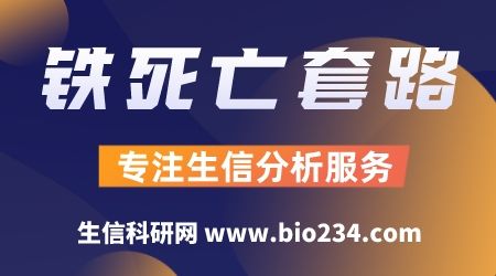 铁死亡套路