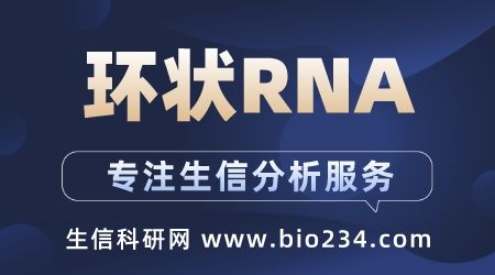环状RNA-ceRNA网络