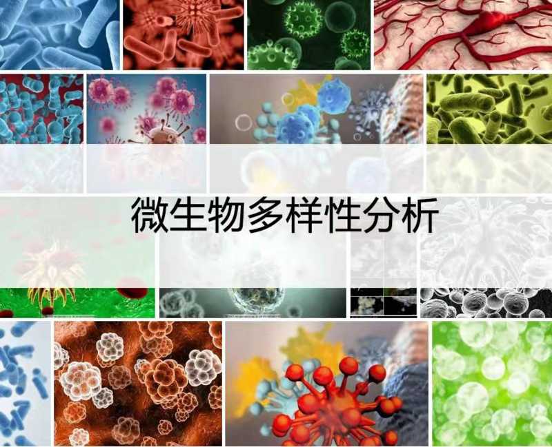 微生物扩增子16S/ITS/18S分析原理讲解组学大讲堂DK17