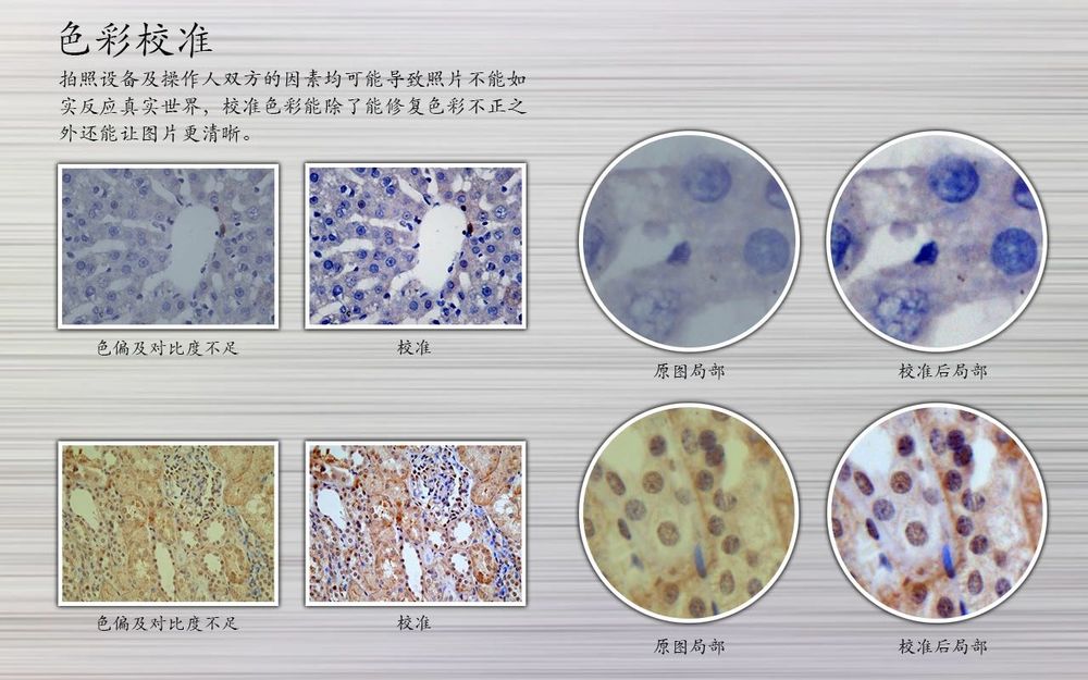 五天学会Nature级的图表及插图制作方法（12.18-19/12.24-26 网络精讲班+线下班）莫乎培训XM28