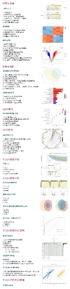 数据挖掘学习班第6期（线上直播3周，马拉松式陪伴，带你入门）生信技能树IJ51