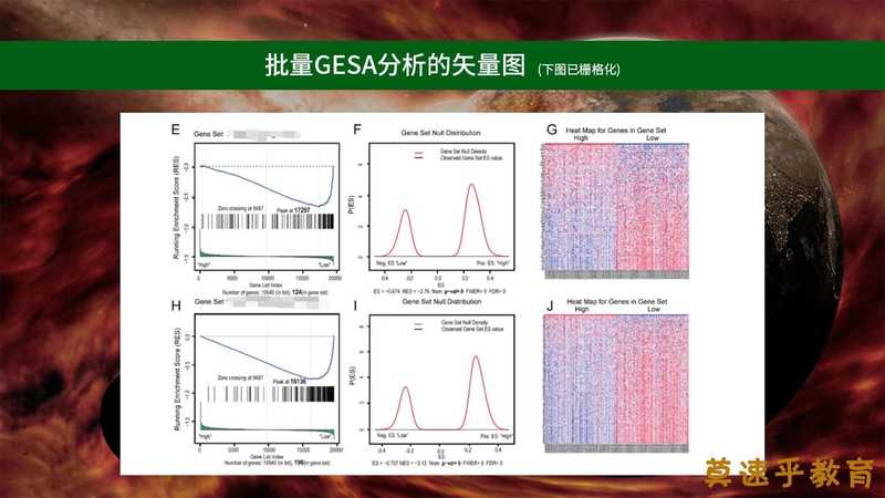 生信必发SCI系列：1对1指导31个议题100个教程零基础也能发5分生信SCI莫乎果子XM25