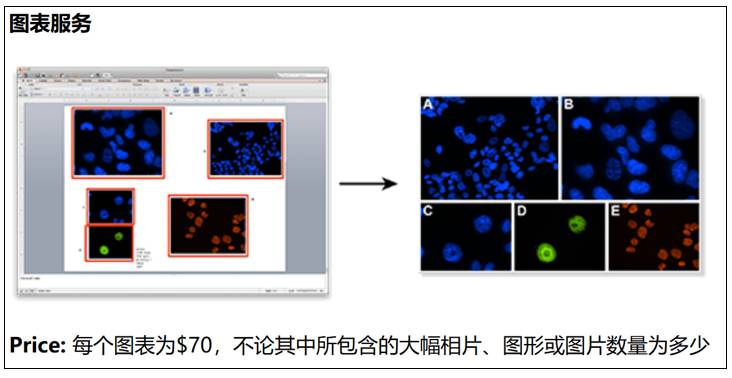 写标书不知道怎么画假说图科研绘图AI技巧培训小张猫头鹰AO54