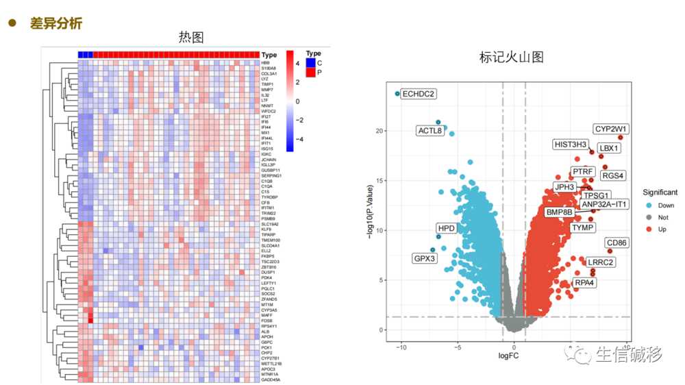 机器学习非肿瘤列线图诊断模型联合WGCNA筛选生物标志物ssGSEA标志基因集生信碱移YS04