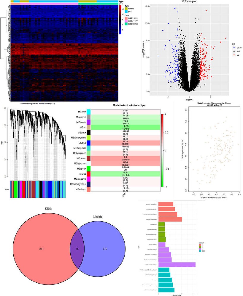 非肿瘤生信2-3分快速发文课程WGCNA狂人DH49