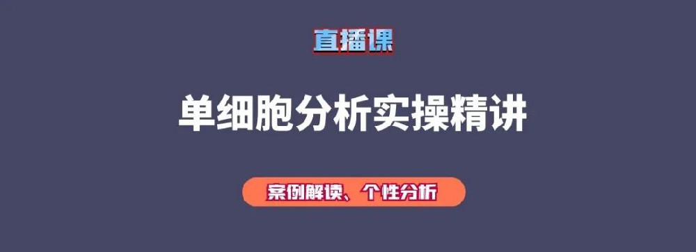 持续11天单细胞分析实操培训班生信技能树-科研日精进XJ02