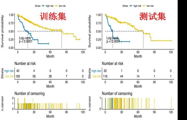 随机生存森林(RSF)筛选优化预后预测模型小白代码YB06