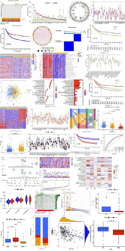 细胞焦亡多组学文章套路(表达+突变+拷贝数变异+预后)GEO联合TCGA数据库G140
