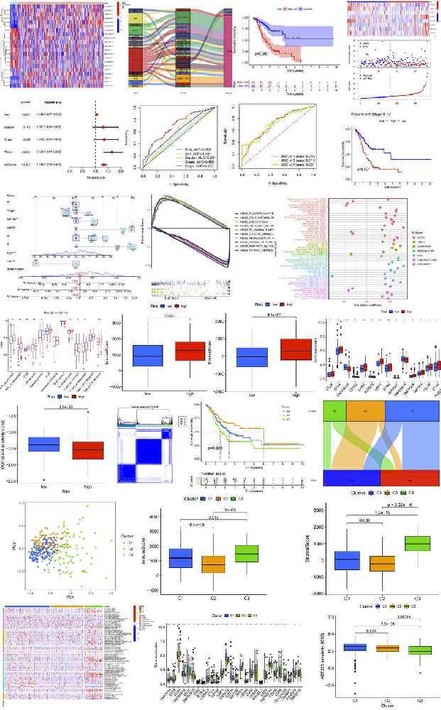 坏死性凋亡文章套路视频 (lncRNA预后模型+肿瘤分型)TCGA数据库G141