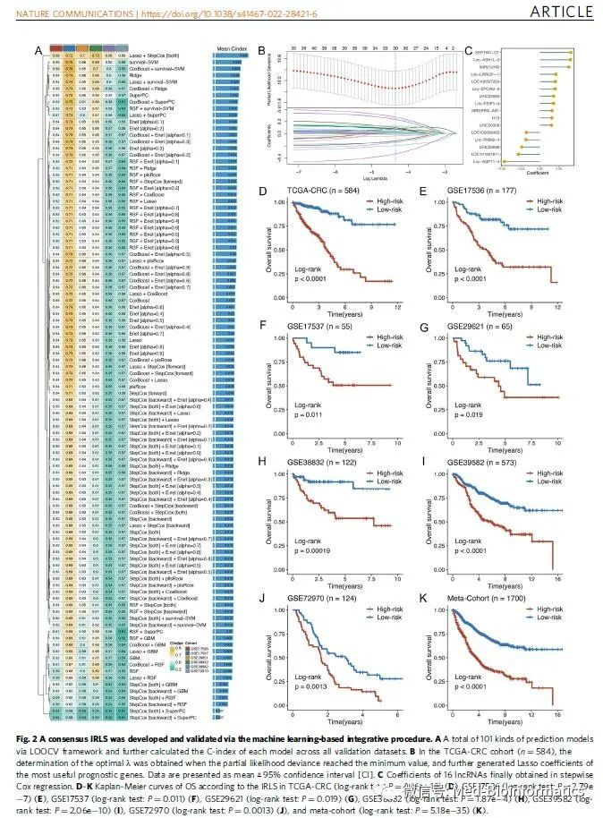【跟着NC学算法】【傻瓜式二分类机器学习预测模型构建】101种组合任你挑大鱼海棠YT02