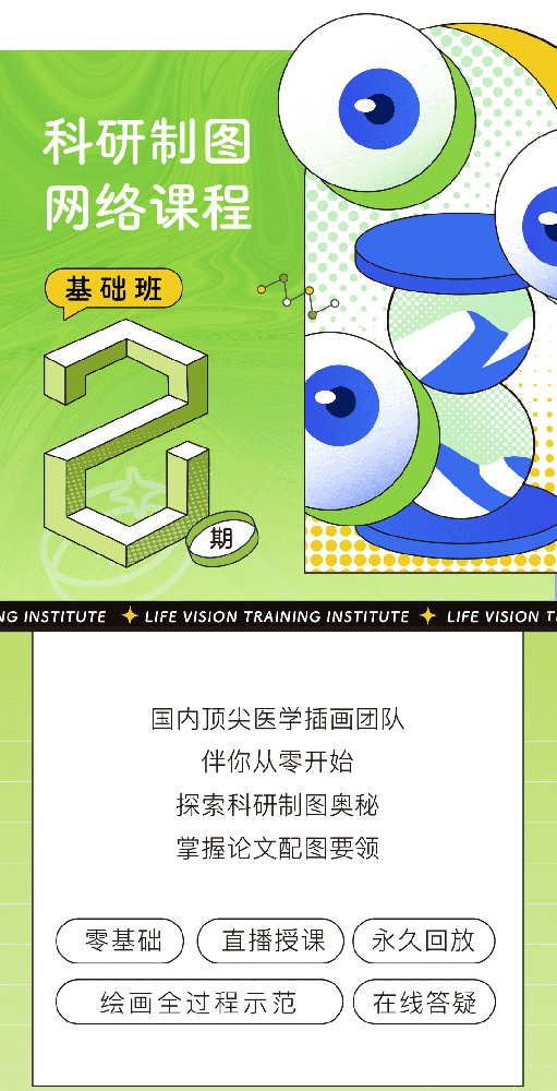 科研制图网络课程·第二期·基础班一目可视XO02