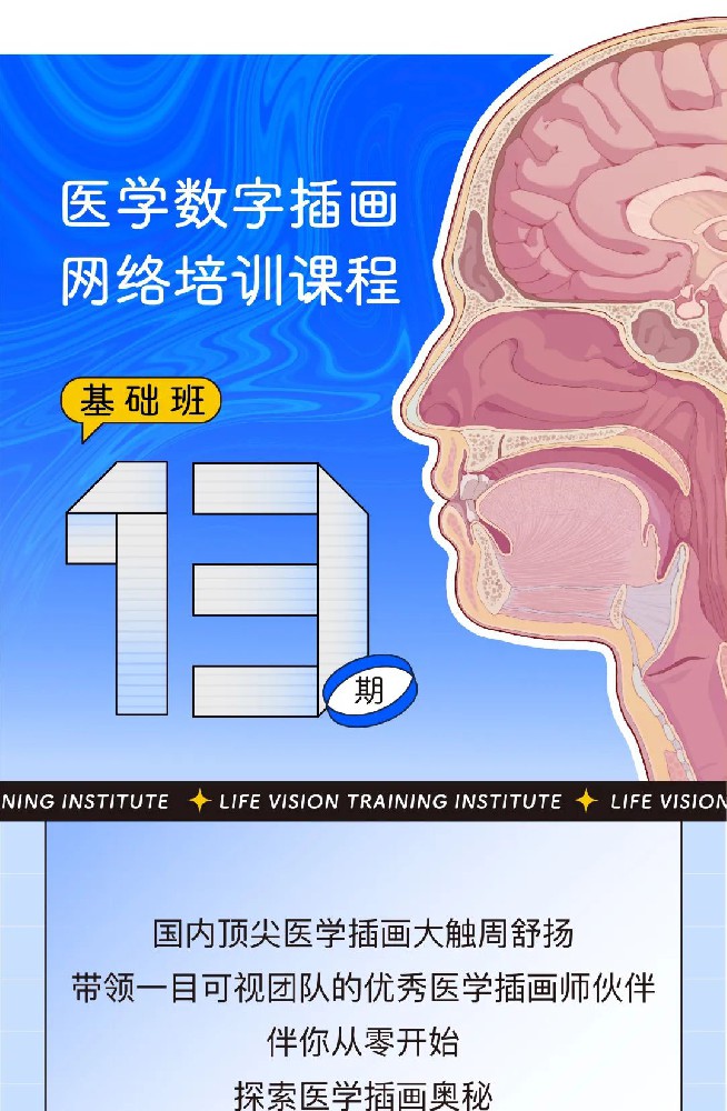 医学插画网络课程·第13期·基础班一目可视XO13