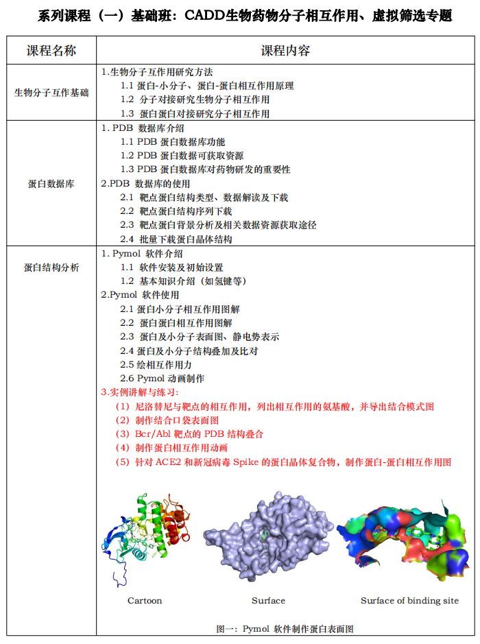 基础班：CADD 生物药物分子相互作用、虚拟筛选专题互动派NW03