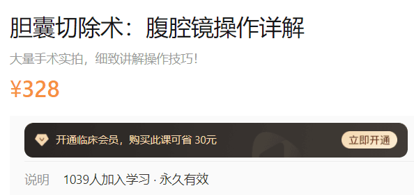 胆囊切除术：腹腔镜操作详解丁香AE23