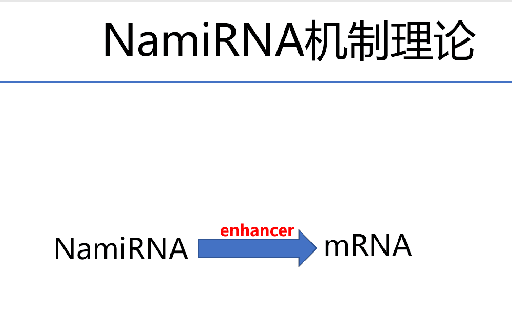 超级生信热点NamiRNA课题设计课程重磅上线狂人DH71