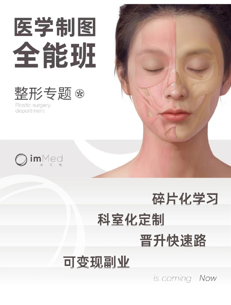 医学制图全能班·整形专题一目可视XO21