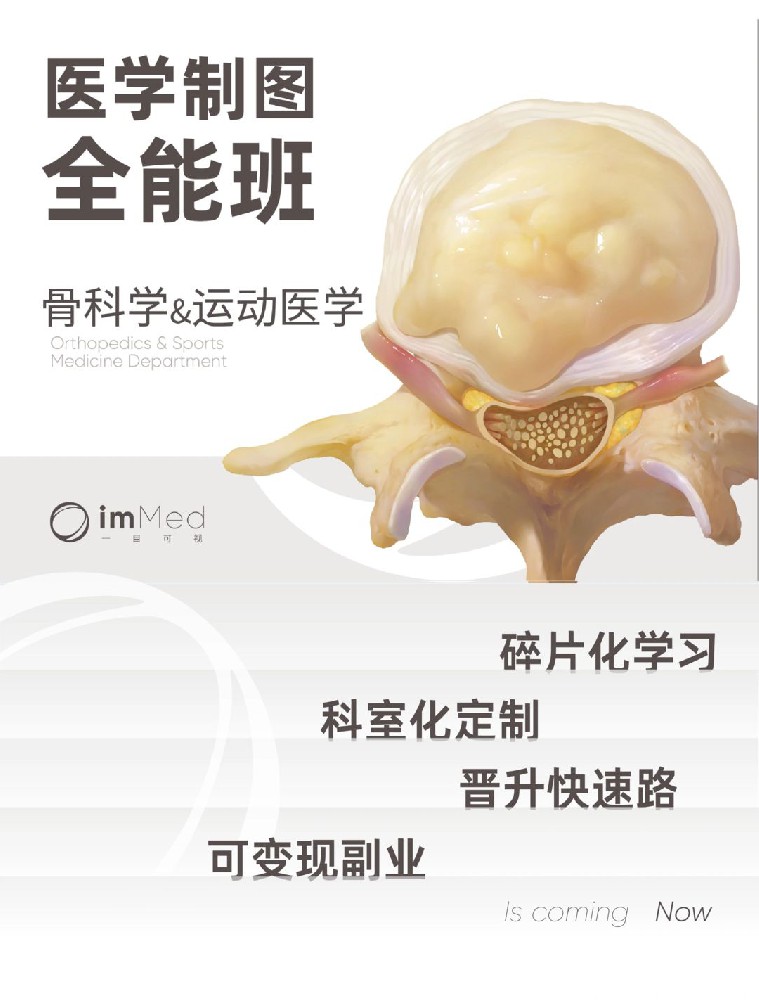 医学制图全能班·骨科学&运动医学专题一目可视XO23