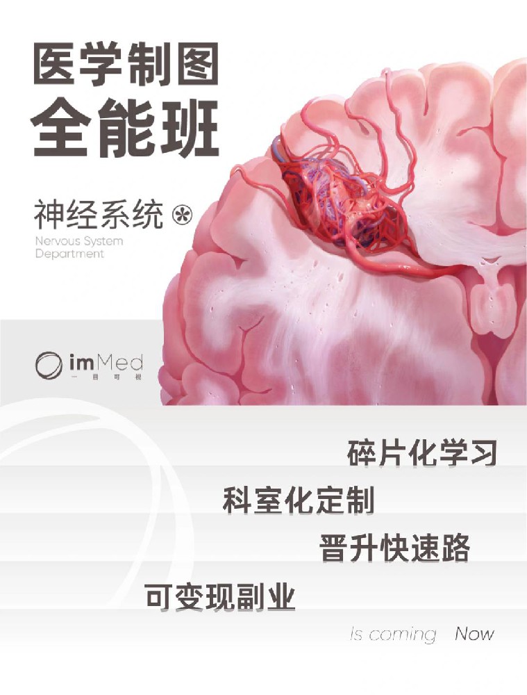 医学制图全能班·神经专题一目可视XO22