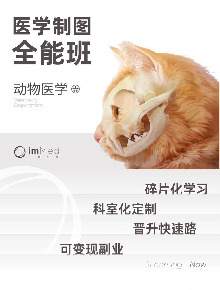 医学制图全能班·动物医学专题一目可视XO29