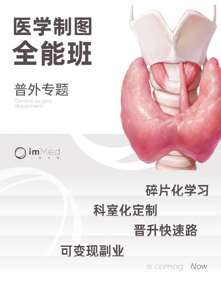 医学制图全能班·普外专题一目可视XO30