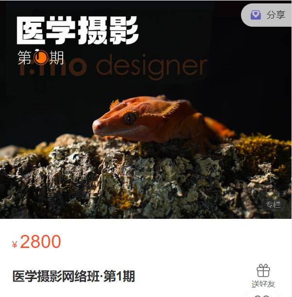 医学摄影网络班·第1期一目可视XO16