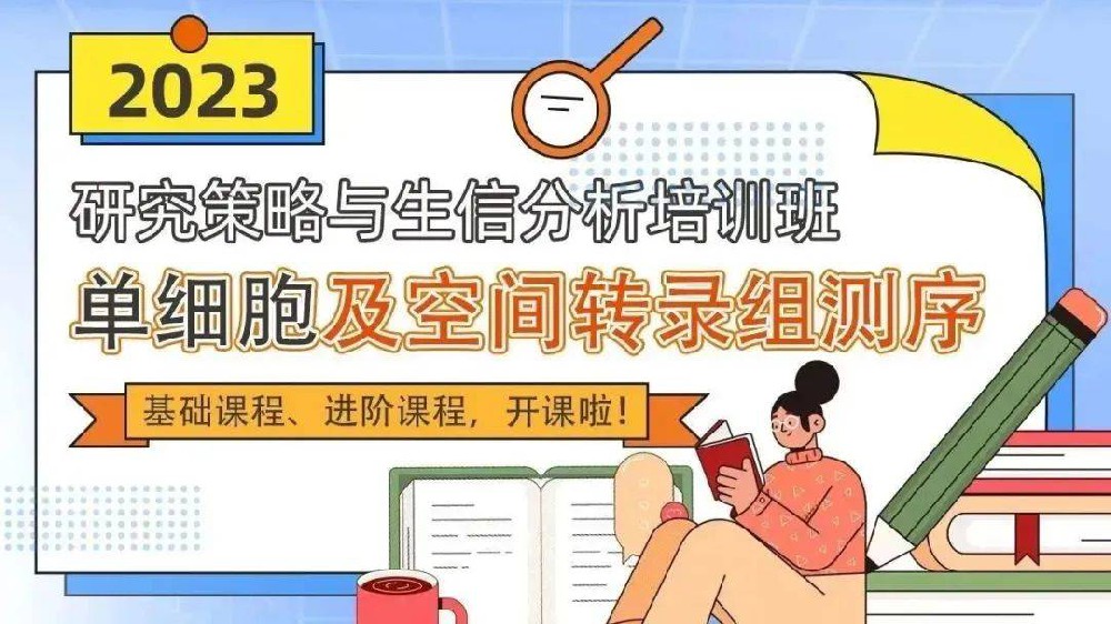 SBC&生信技能树|单细胞+空间转录组测序生信分析基础课程、进阶课程IJ65