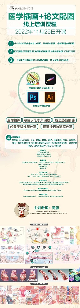 科研插画+配图 零基础-精通学习班 高研值科研绘图开课啦！狗蛋带你画顶刊XZ22