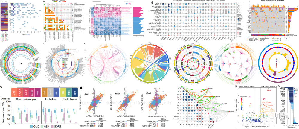 【合集】生信常用分析图形+跟着高分SCI学作图-生信师兄ZA51
