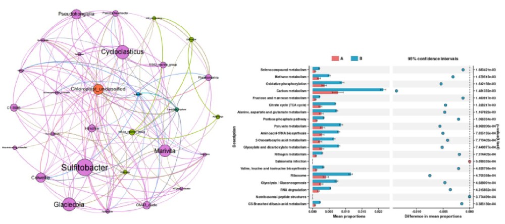如何缩短从微生物组数据到文章撰写的距离？联川生物XZ30