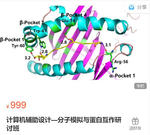 计算机辅助设计—分子模拟与蛋白互作研讨班-生信会议XH01