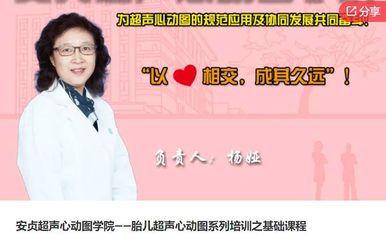 安贞超声心动图学院-胎儿超声心动图系列培训之基础课程-超声掌中宝VZ06