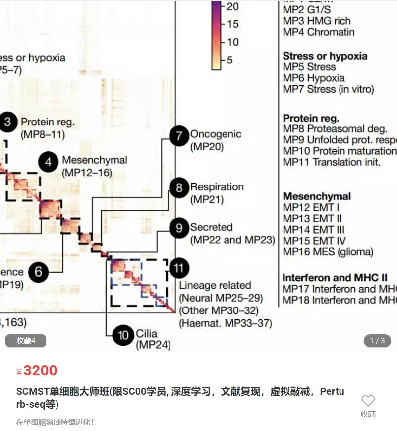 续新-SCMST单细胞大师班(深度学习，文献复现，虚拟敲减，Perturb-seq等)果子GZ58
