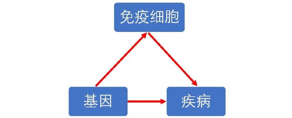 基因联合免疫细胞孟德尔随机化课程重磅上线-狂人DH110
