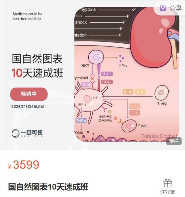 国自然图表10天速成班一目可视XO19