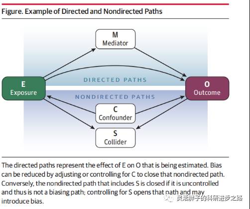 基于R语言的真实世界研究与二分类结果机器学习实战培训班-第二期-灵活胖子的科研进步之路XZ75