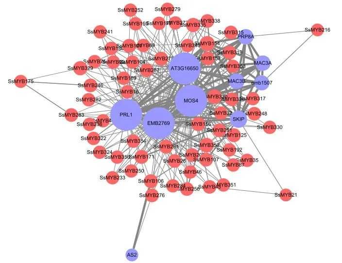 Cytoscape与网络图绘制组学大讲堂DK22