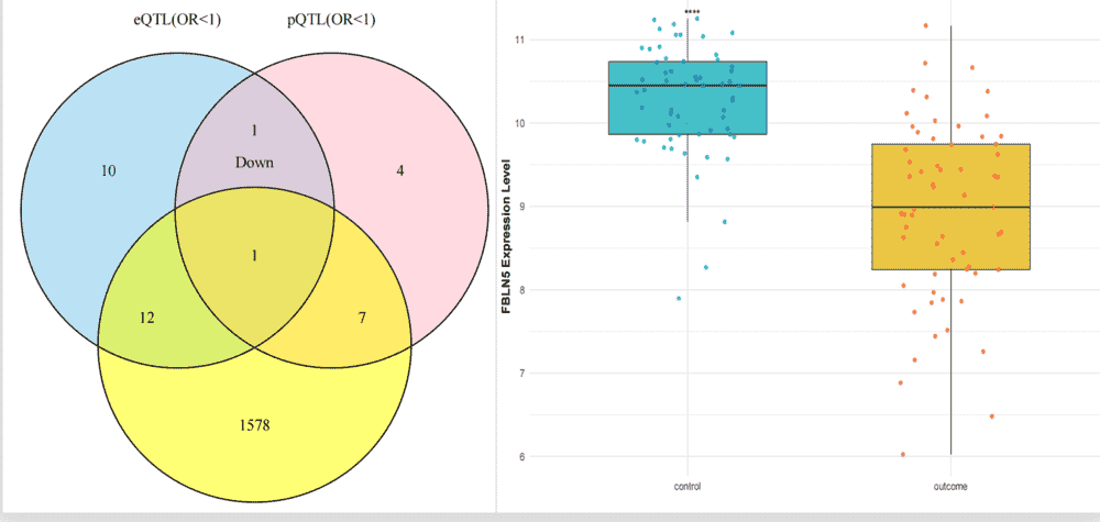 国自然或博硕开题课题设计（DNA甲基化酶_信号通路方向）狂人DH154