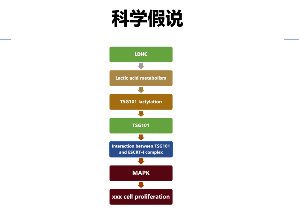 乳酸化基因国自然级别课题设计课程-狂人DH160