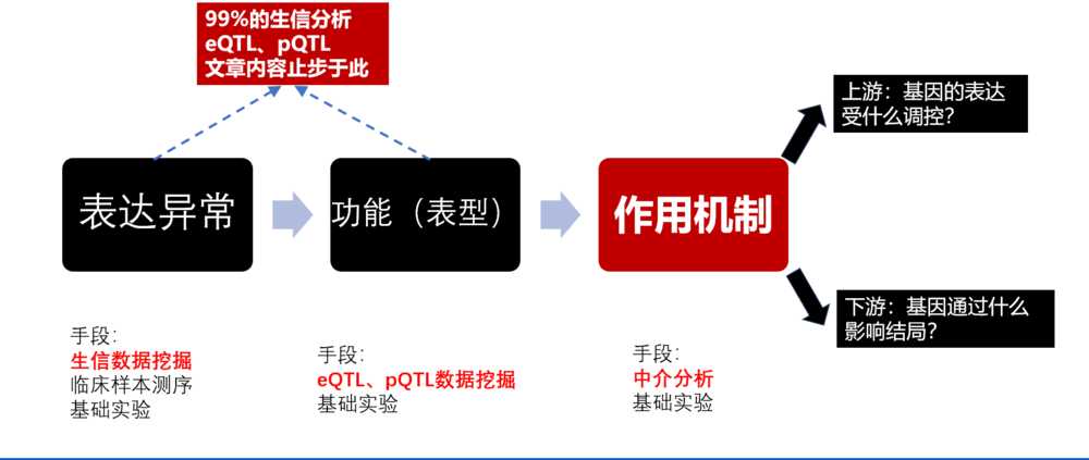 热点基因超级混合分析联合单细胞分析狂人DH162