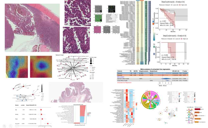 (4.7-4.28，Q&A)作曲家病理组发文计划pass！病理组结合单细胞多组学-生信作曲家YQ13