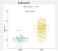 识别DNA甲基化生物标志物生信人IA02