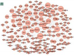 与疾病相关的可变剪切事件生信人I16